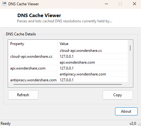 DNS Cache Viewer main window