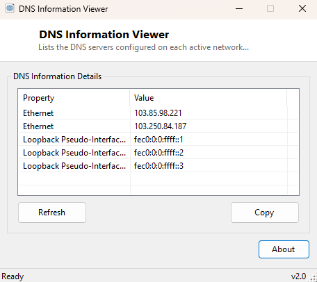 DNS Information Viewer main window