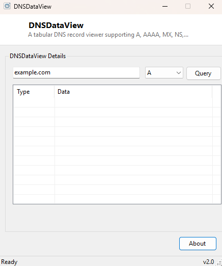 DNSDataView main window