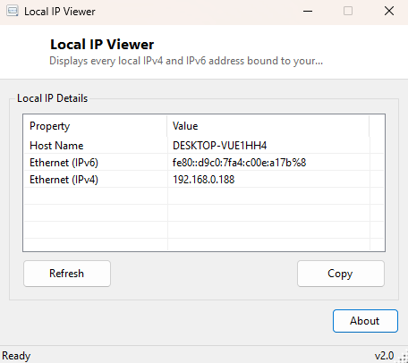 Local IP Viewer main window