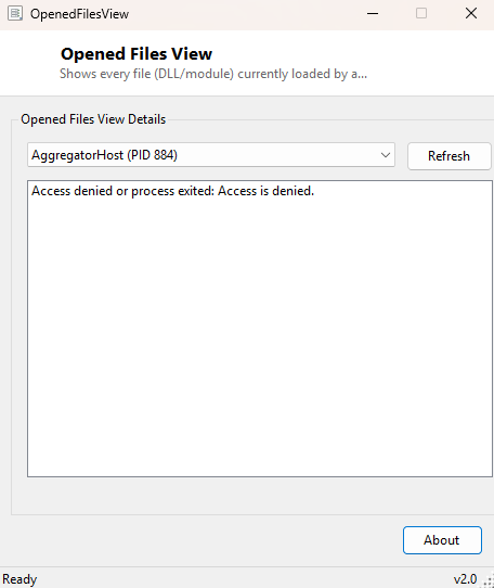 Opened Files View main window