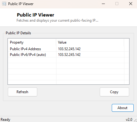 Public IP Viewer main window