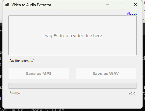 Video to Audio Extractor main window