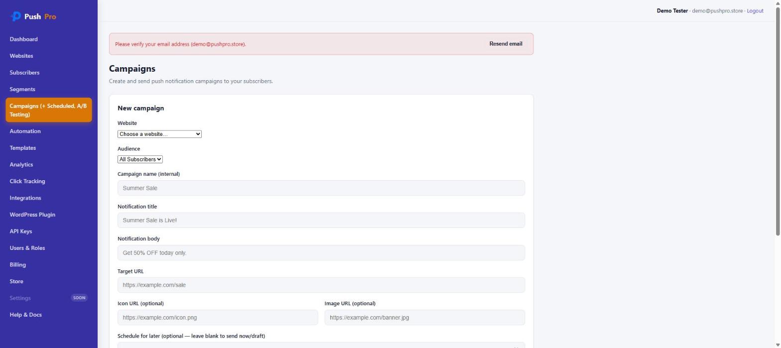 PushPro new campaign form with website, audience, campaign name, notification title, body, and target URL fields