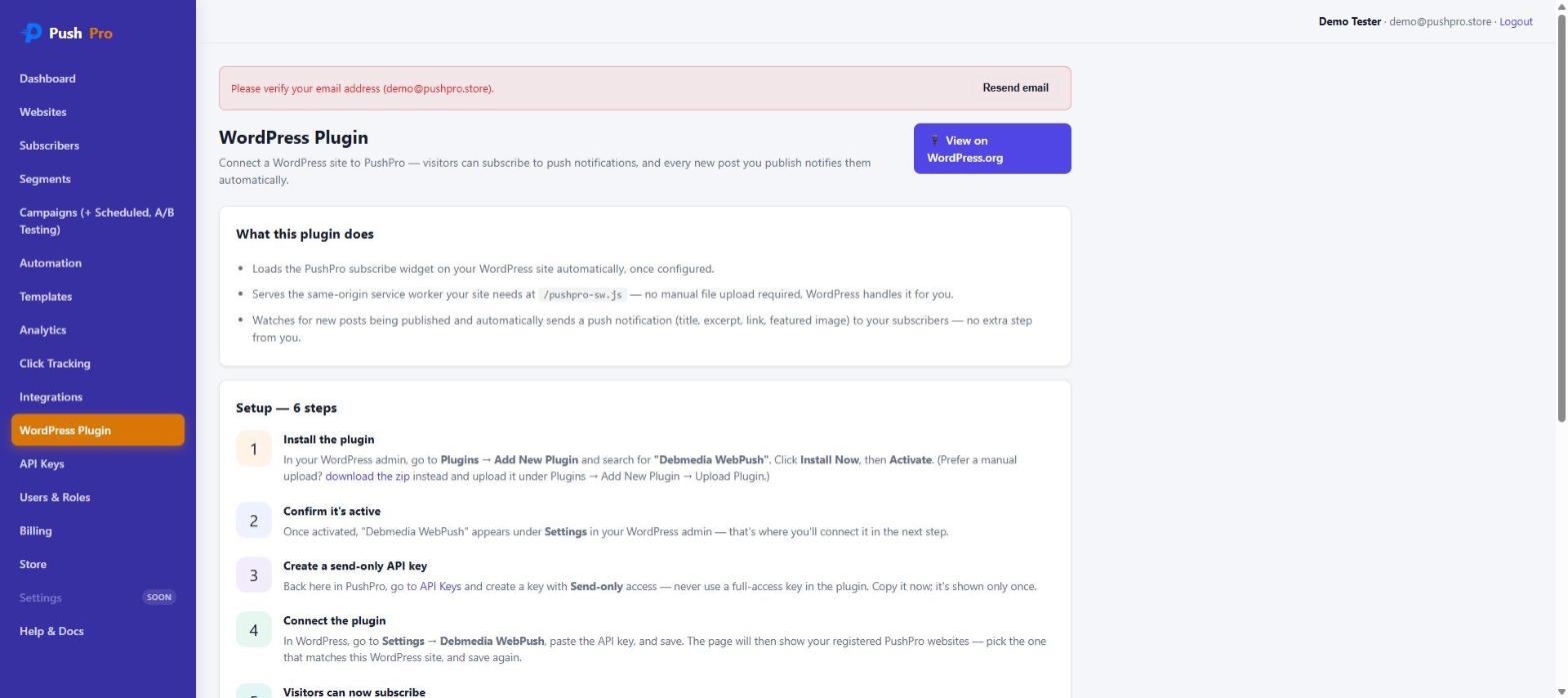 PushPro WordPress Plugin page describing what the plugin does and a numbered 6-step setup guide