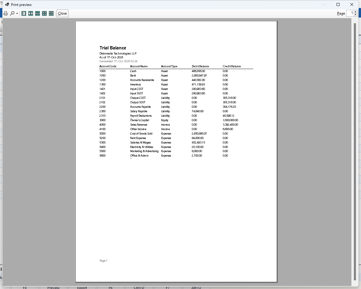 DEBMEDIA ERP Trial Balance print preview: Print Preview of the Trial Balance with the company name, as-of date and page footer.