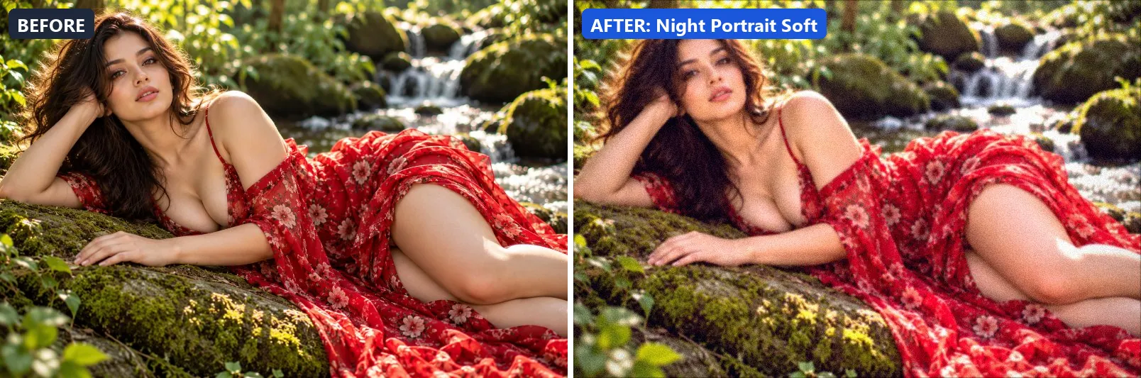 Before and after comparison of the Night Portrait Soft photo filter (Night & Astro) on the sample photo