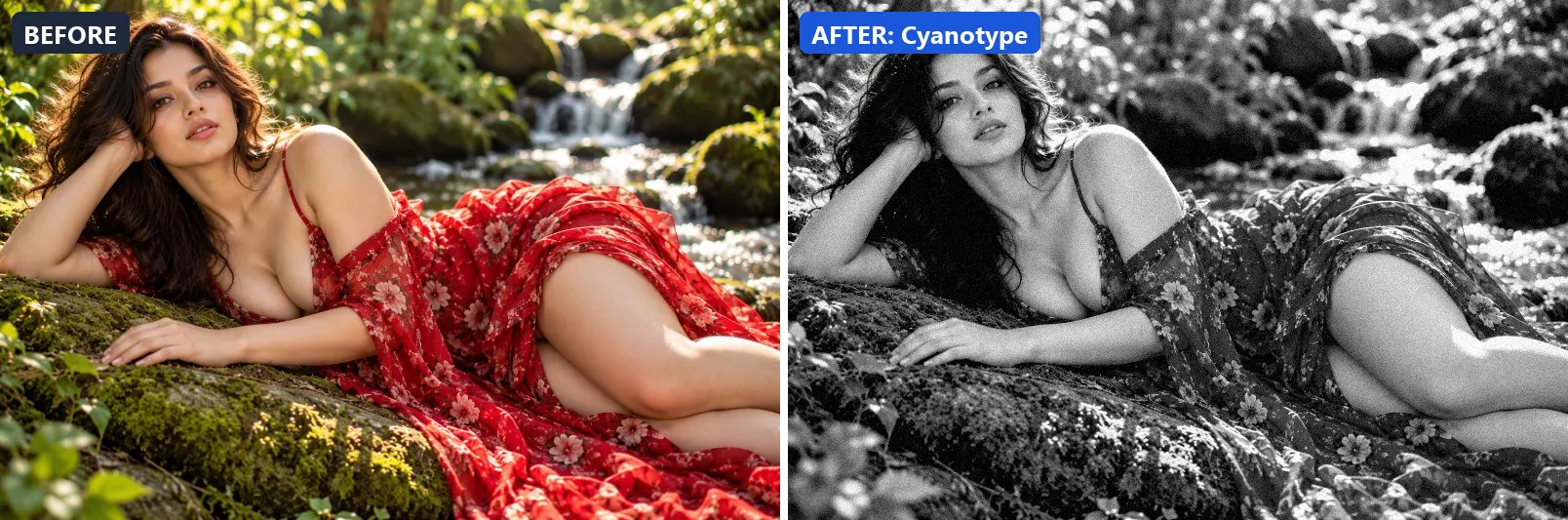 Before and after comparison of the Cyanotype photo filter (Black & White) on the sample photo