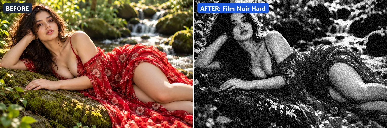 Before and after comparison of the Film Noir Hard photo filter (Black & White) on the sample photo