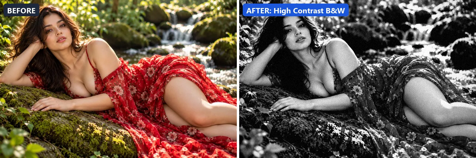 Before and after comparison of the High Contrast B&W photo filter (Black & White) on the sample photo