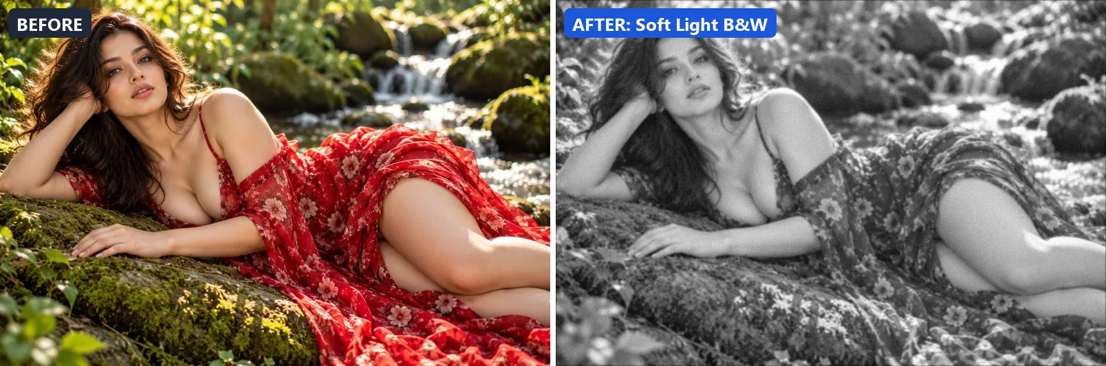 Before and after comparison of the Soft Light B&W photo filter (Black & White) on the sample photo
