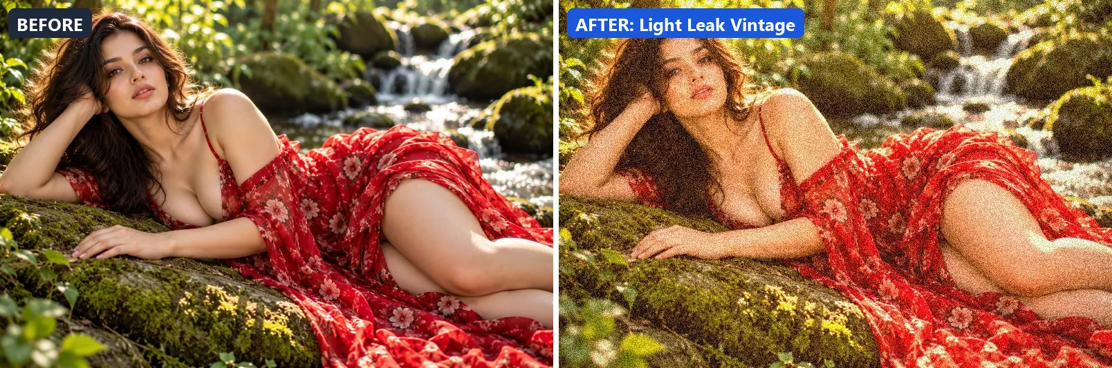 Before and after comparison of the Light Leak Vintage photo filter (Lighting Effects) on the sample photo
