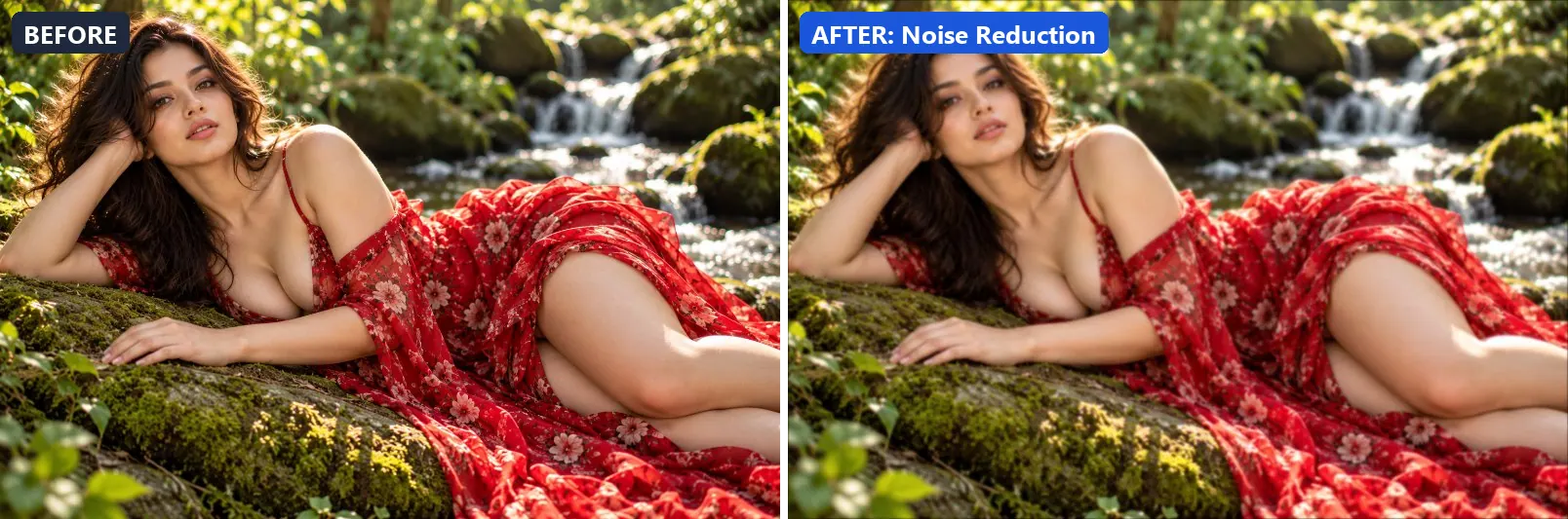 Before and after comparison of the Noise Reduction photo filter (Clarity & Detail) on the sample photo