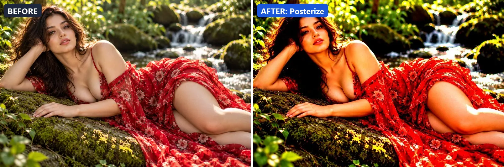 Before and after comparison of the Posterize photo filter (Artistic Styles) on the sample photo
