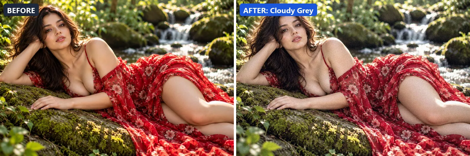 Before and after comparison of the Cloudy Grey photo filter (Weather) on the sample photo