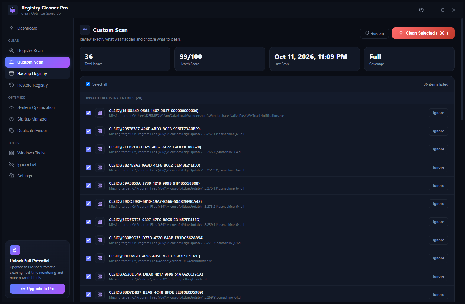 Registry Cleaner Pro Custom Scan listing 36 invalid registry entries with CLSID keys and file paths
