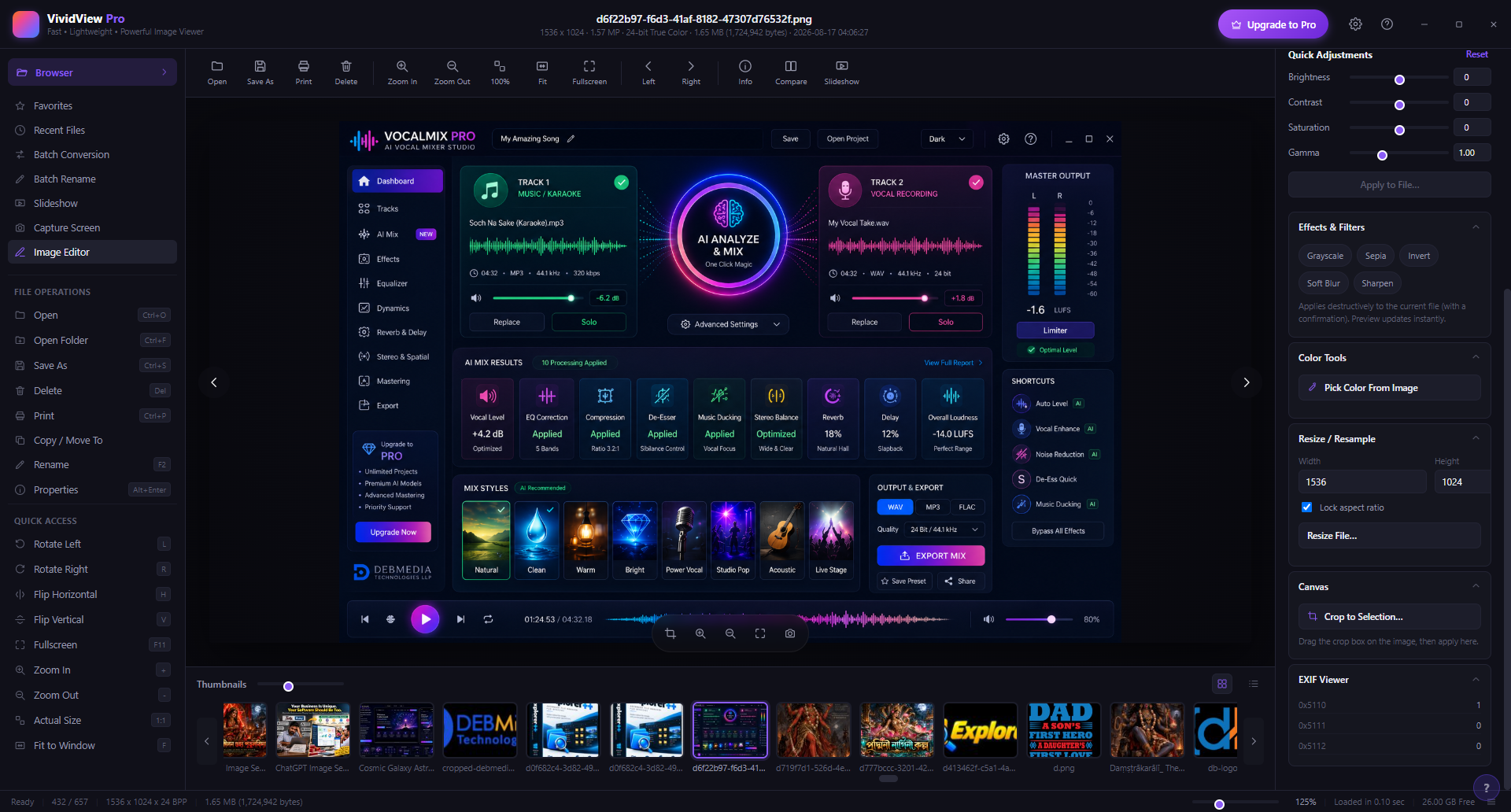 VividView Pro Image Editor mode with right panel tools and thumbnail browser
